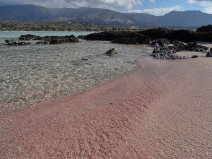 Crete Elafonisi 