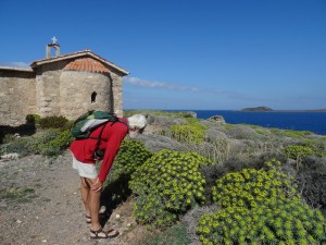 Crete Elafonisi