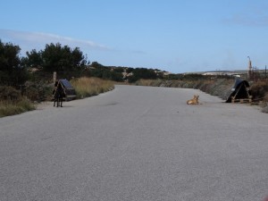Crete passage canadien 