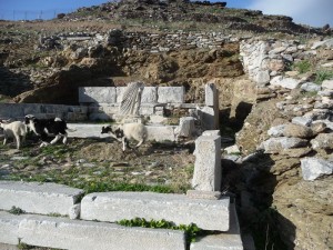 23 Amorgos ruines mycéniennes