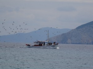 52 Koufounissia 