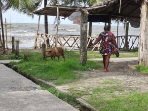 Livingston le quartier Garifuna