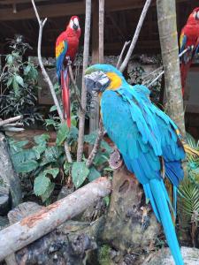 Copan centre de soins faune sauvage