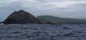 puffin island