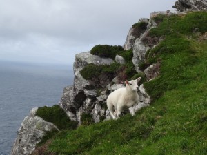 Portmagee