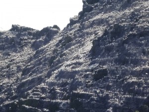 Small Skellig
