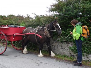 13 Aran Inishmore
