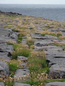 15 Aran Inishmore