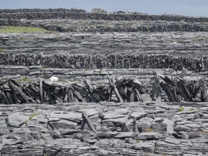 20 Aran Inishmore