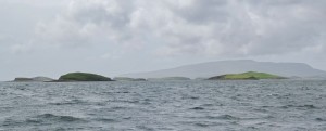 31 Clew bay