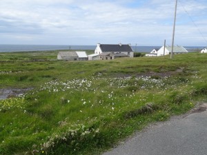 50 Tory island