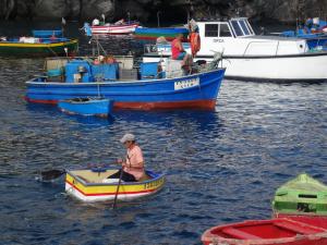 le port de Camara do Lobos  