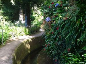 le long des levadas