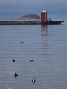 Alesund