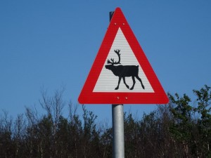 en pays sapmi