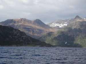 Reinfjord 