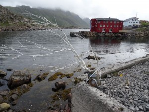Vesteralen Nyksund