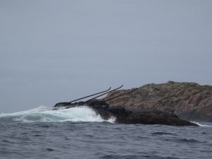 Vesteralen,Langoya : Nyksund