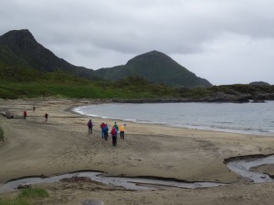 Vesteralen, Langoya : Sto