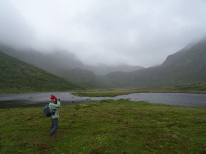 Vesteralen, Langoya : Sto