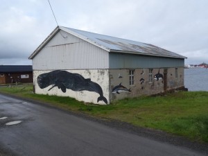 Vesteralen, Langoya : Sto