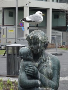 Tromso goéland sans gêne