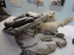 Tromso  Polar museet