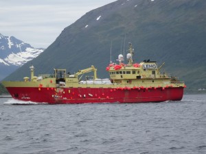 rencontre étonnante