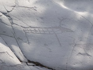 gravures rupestres à Alta