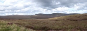 15 Wiklow Nat.park 