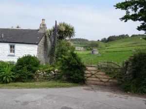 4 Tresco 11