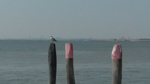20150807_113903