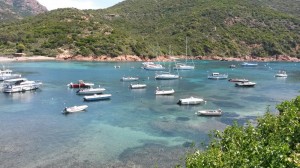 Girolata mouillage